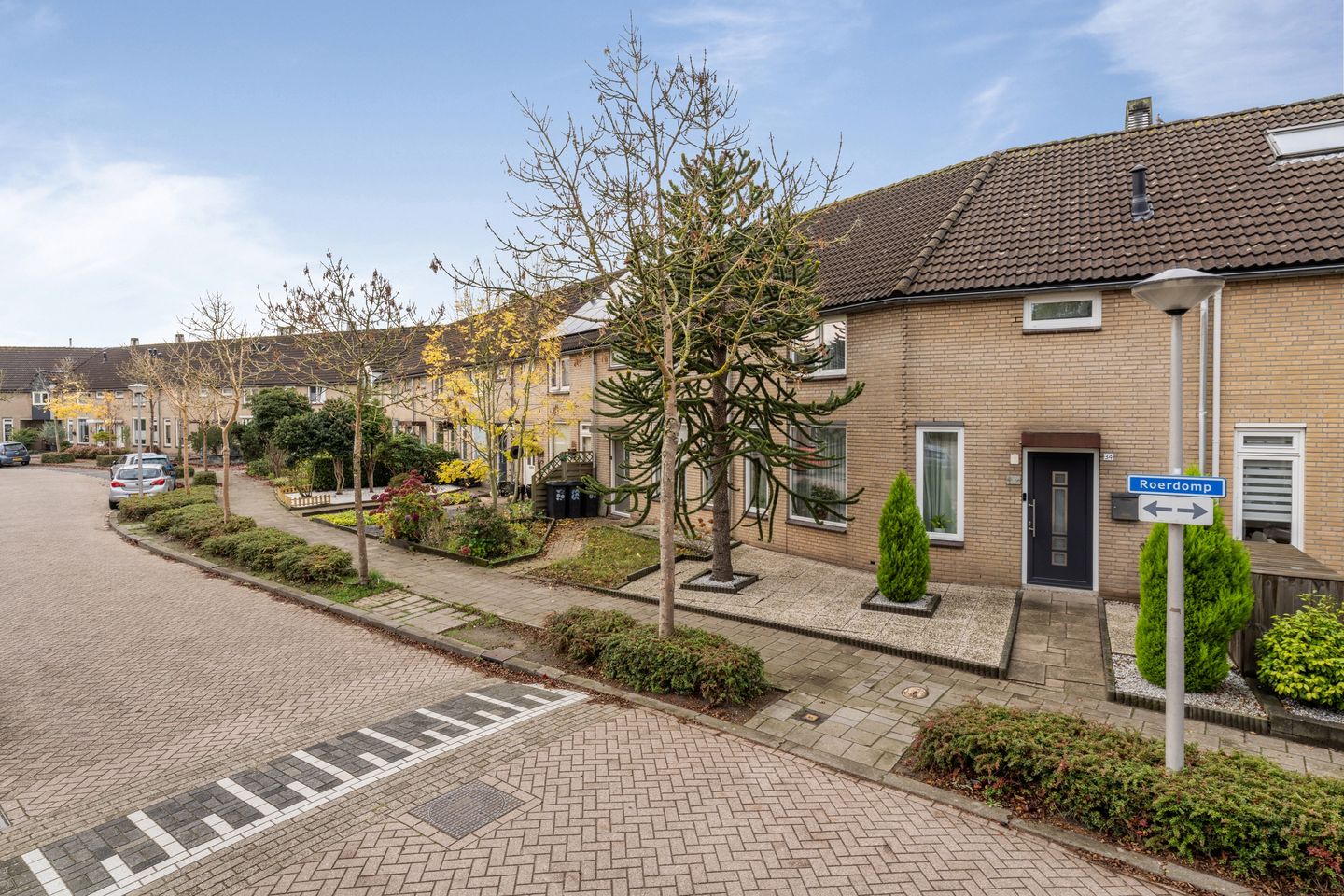 Foto 40 van Roerdomp 34