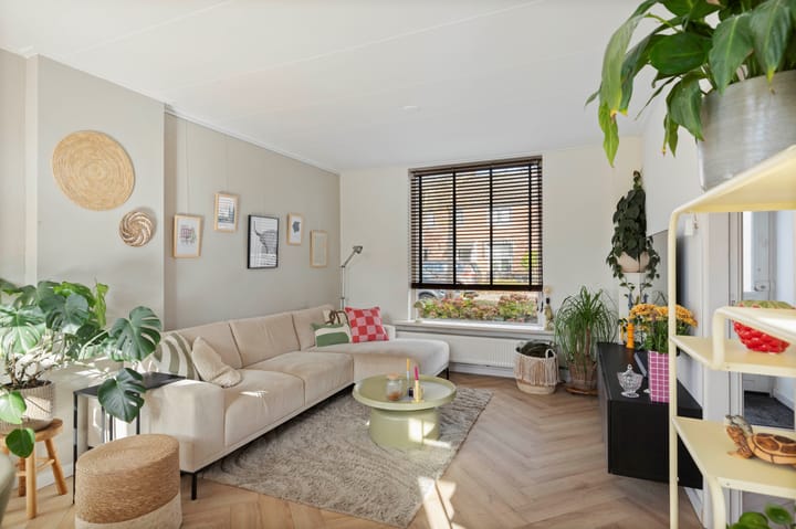 Foto 3 van Pieter de Hooghstraat 71