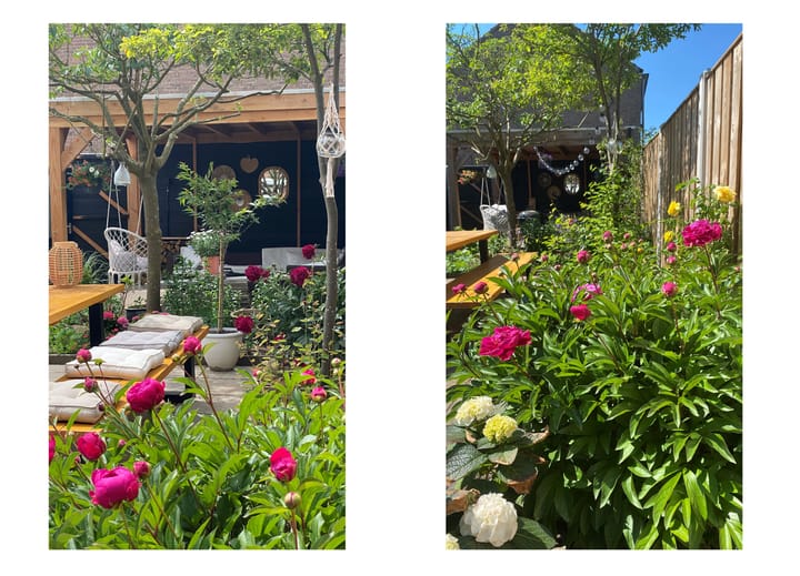 Foto 38 van Pieter de Hooghstraat 71