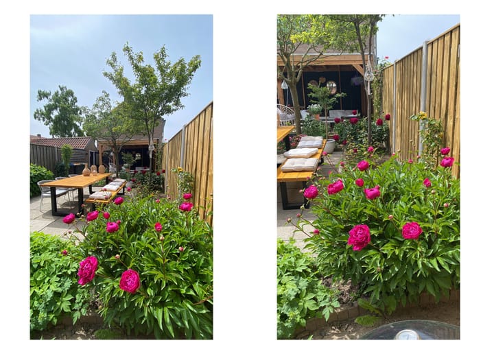 Foto 39 van Pieter de Hooghstraat 71