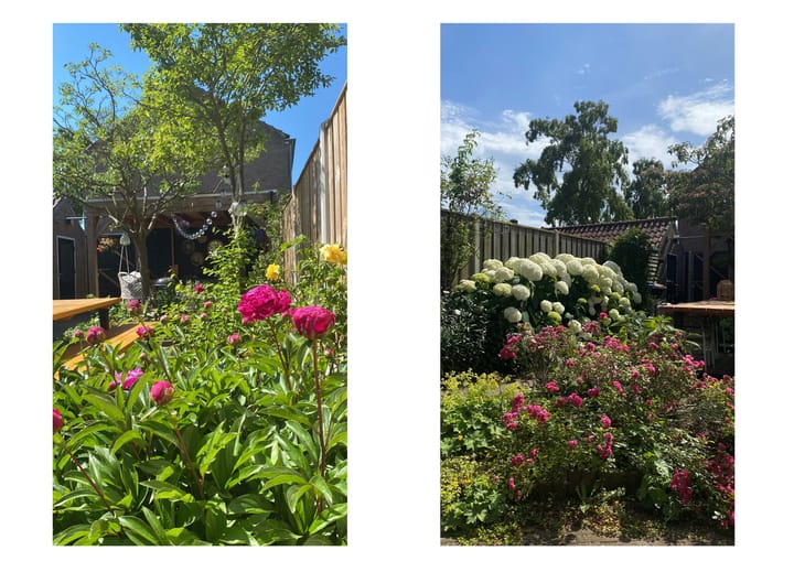 Foto 40 van Pieter de Hooghstraat 71