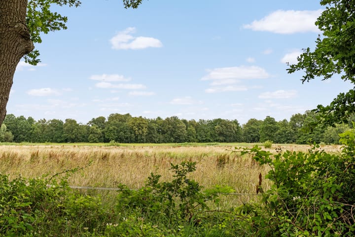 Photo 35 of Valsakker 21