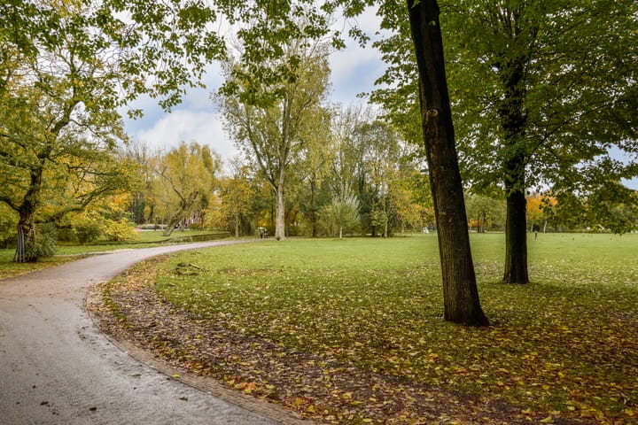 Foto 22 van Tilanusstraat 344