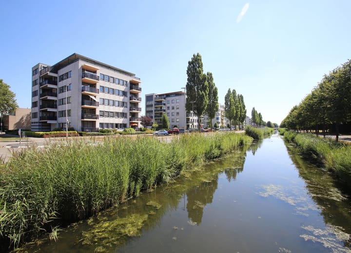 Foto 1 van Mosgroen 51