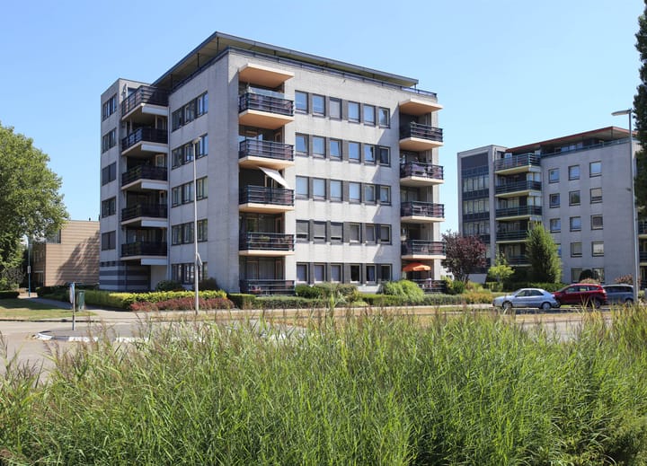 Foto 2 van Mosgroen 51