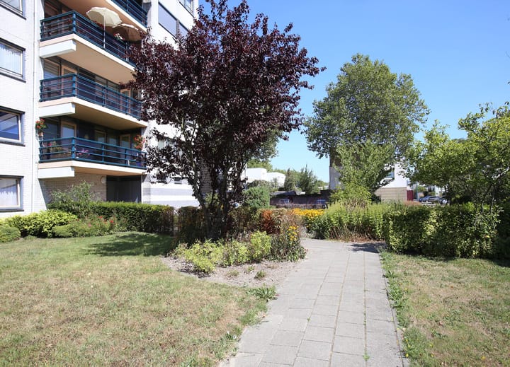 Foto 4 van Mosgroen 51