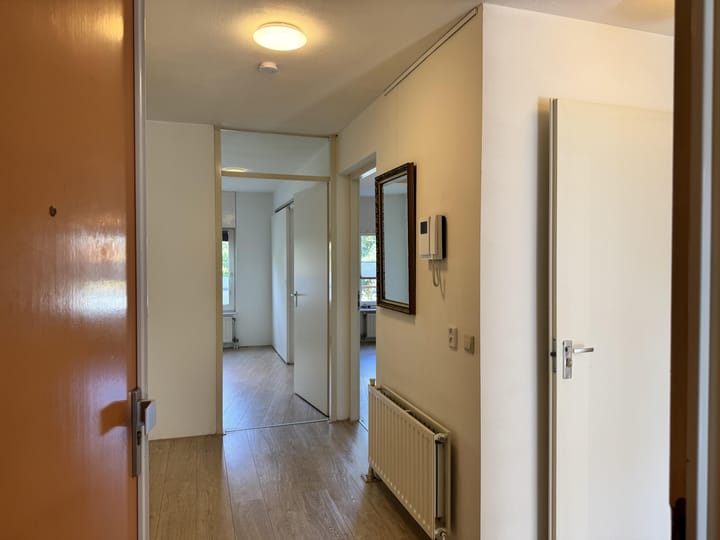 Foto 7 van Plantage 130