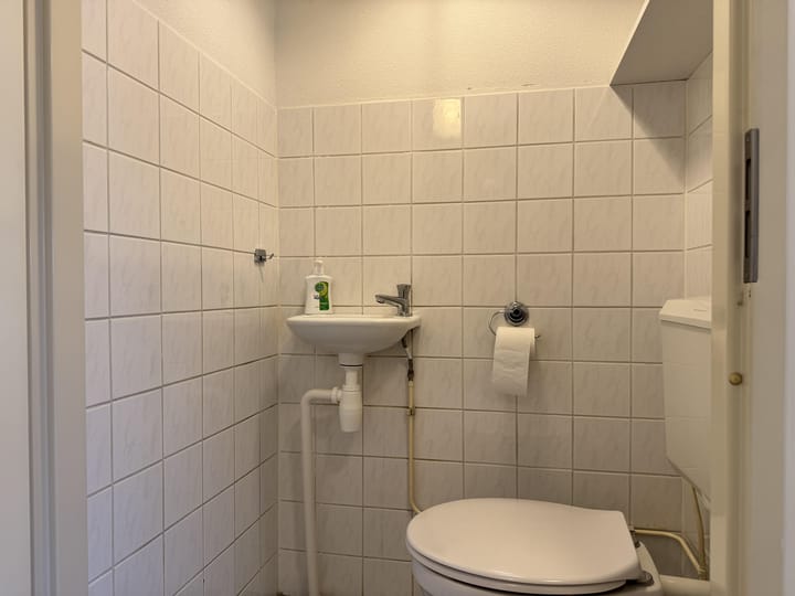 Foto 8 van Plantage 130