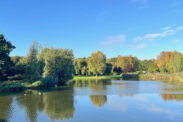 Foto 13 van Buizerdstraat 8-B