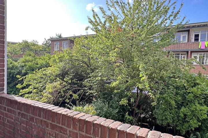 Foto 24 van Buizerdstraat 8-B