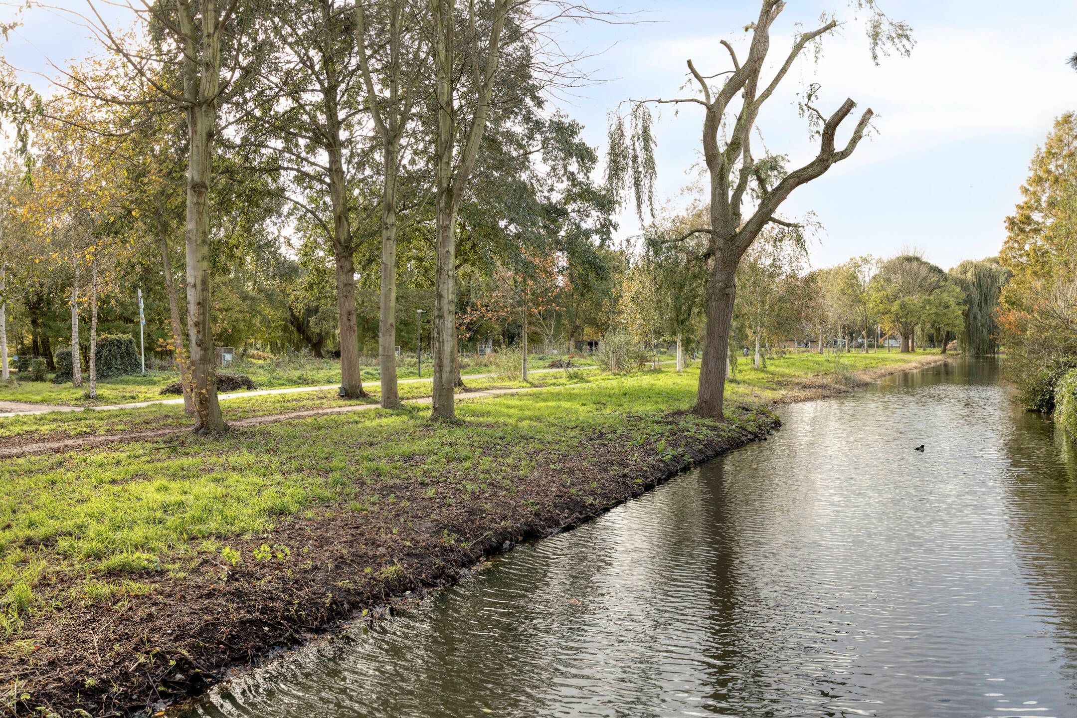 Photo 33 of Vlasakker 84