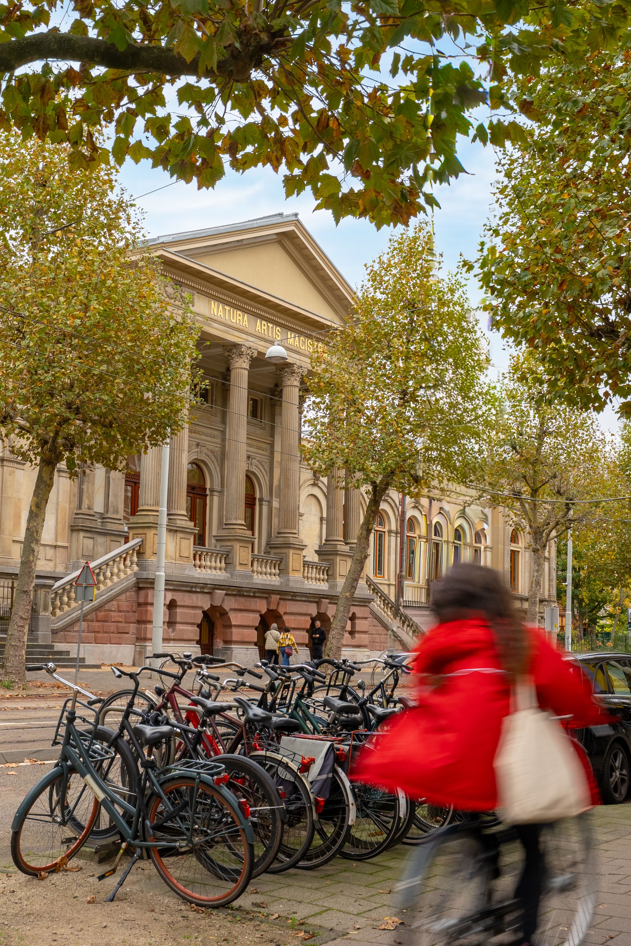 Foto 24 van Plantage Badlaan 8-C