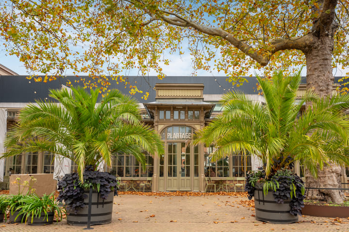 Foto 25 van Plantage Badlaan 8-C