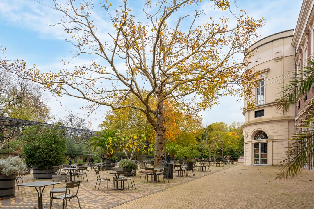 Foto 26 van Plantage Badlaan 8-C