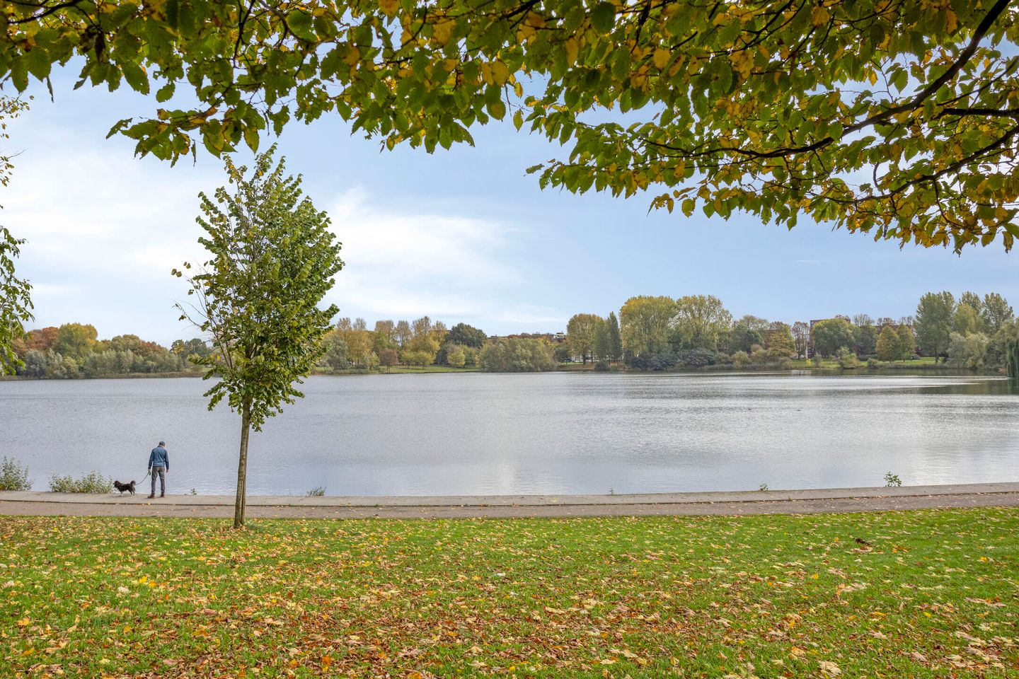 Foto 29 van Frederik Hendriklaan 12