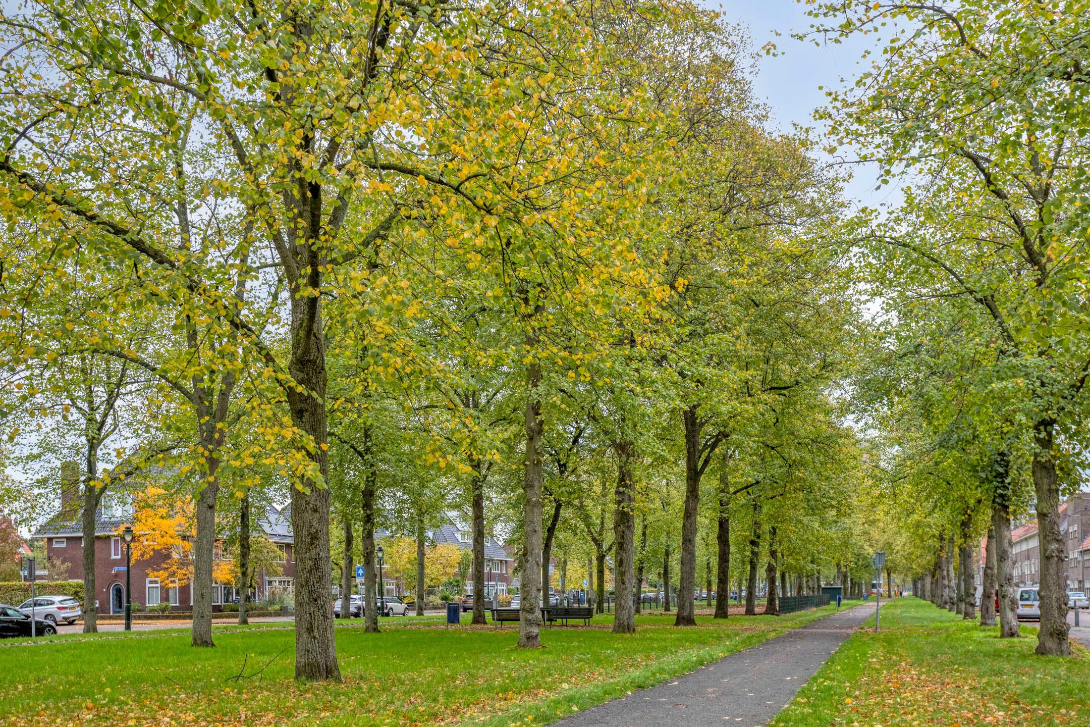 Foto 27 van Frederik Hendriklaan 12