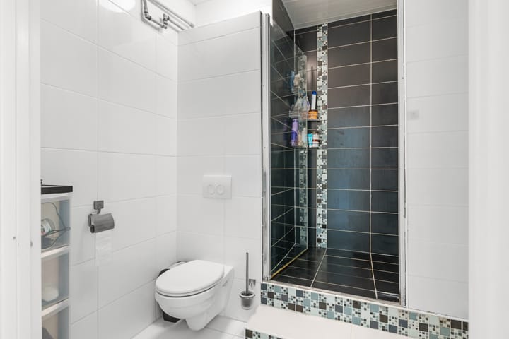 Foto 20 van Sibeliusstraat 703