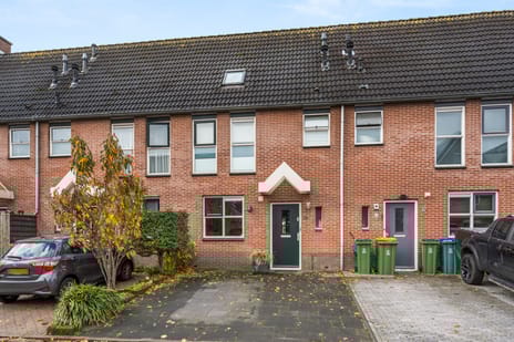 undefined main image