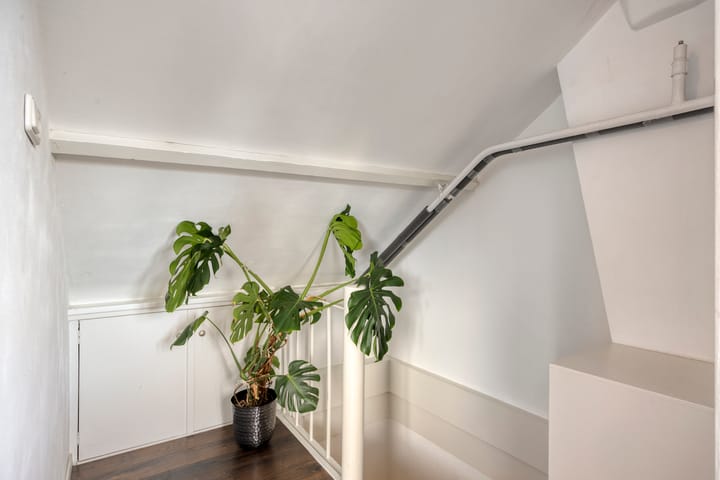 Photo 35 of Alexanderstraat 57