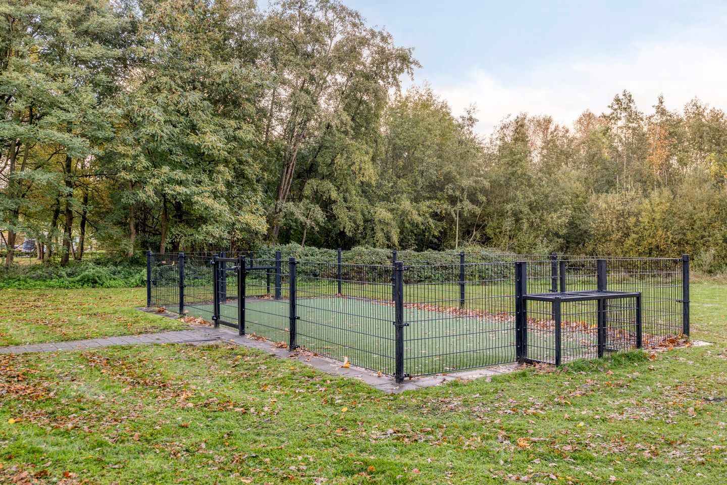 Foto 50 van Alexanderstraat 57