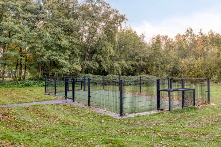 Photo 50 of Alexanderstraat 57