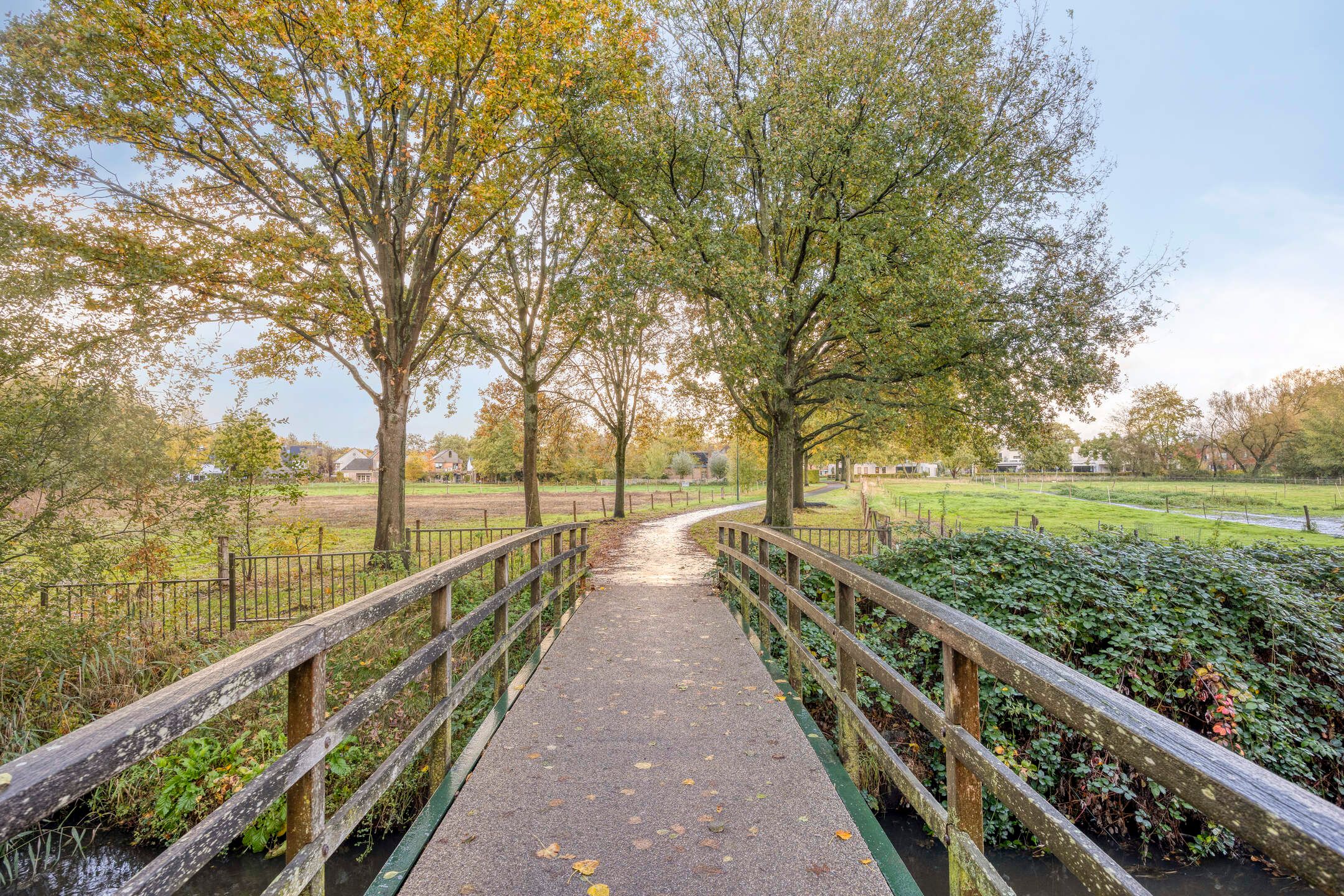 Foto 51 van Alexanderstraat 57