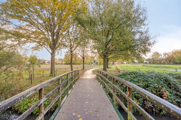 Photo 51 of Alexanderstraat 57