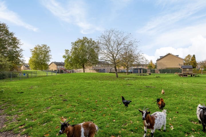 Foto 29 van Merelstraat 8