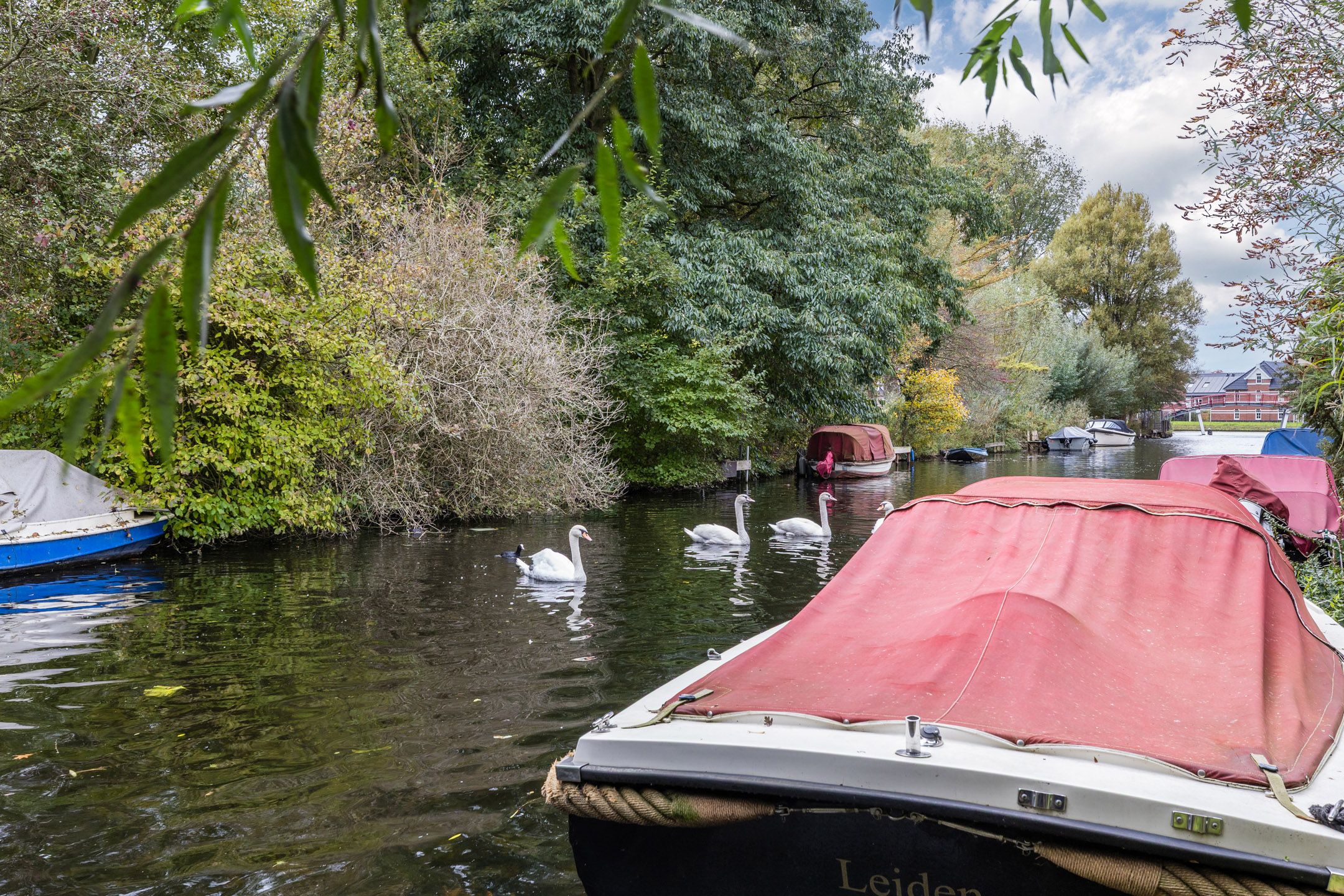 Foto 3 van Duke Ellingtonstraat 54