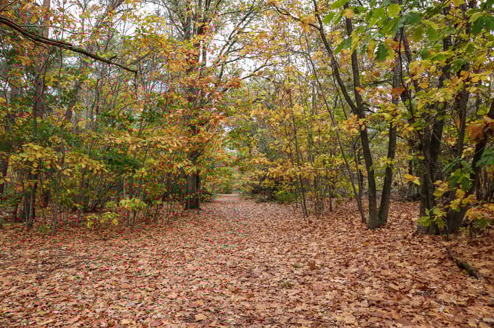 Photo 50 of Floralaan Oost 66