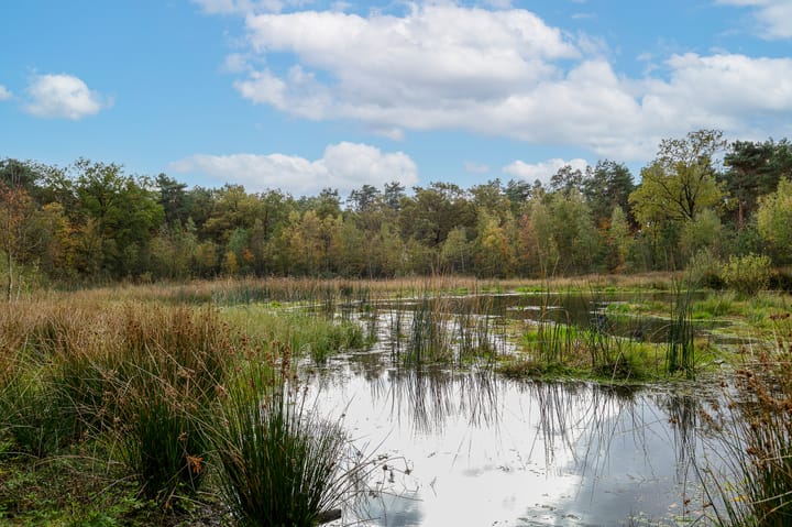 Photo 49 of Floralaan Oost 66