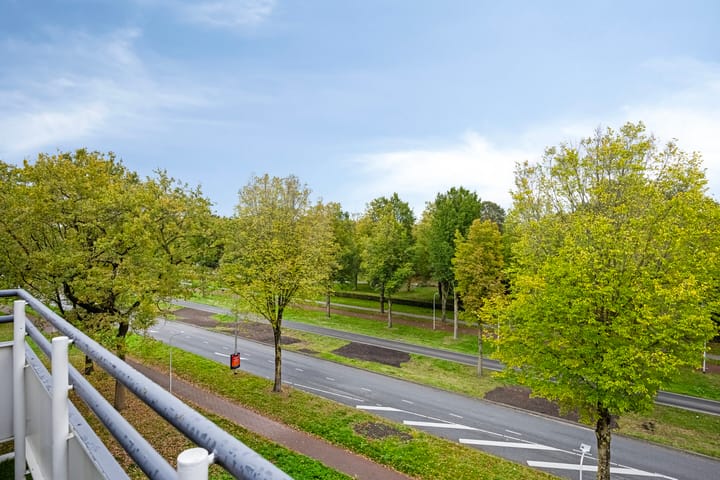 Foto 18 van Predikherenlaan 117