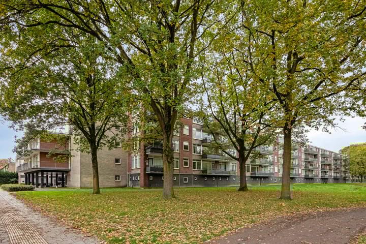 Foto 27 van Predikherenlaan 117