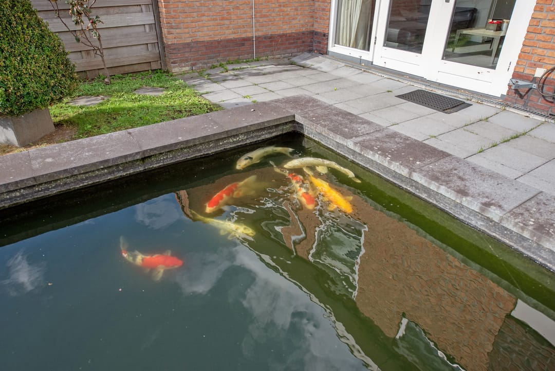 Foto 32 van Antonius Heggelaan 43