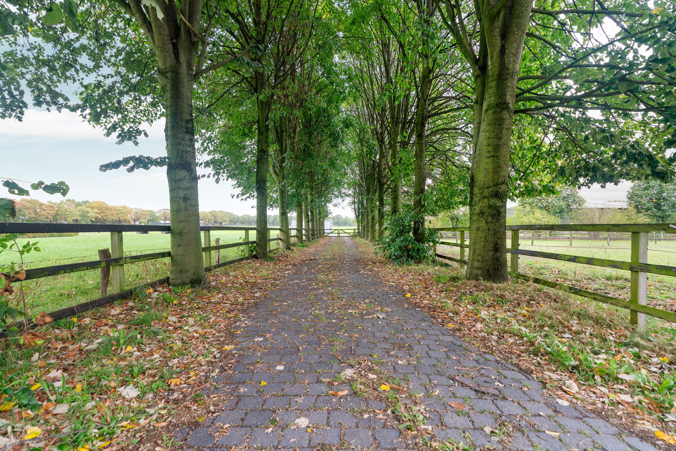 Foto 36 van Koningin Wilhelminaweg 45