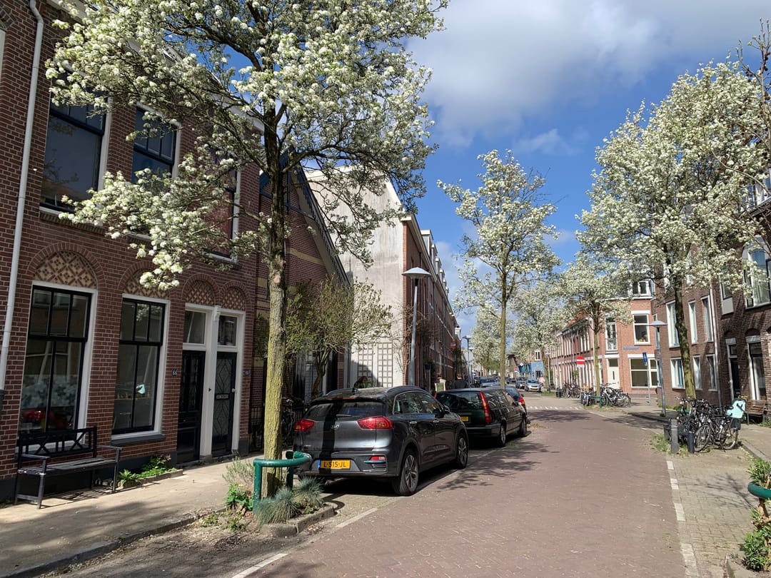 Foto 38 van Nieuwe Koekoekstraat 66-BS