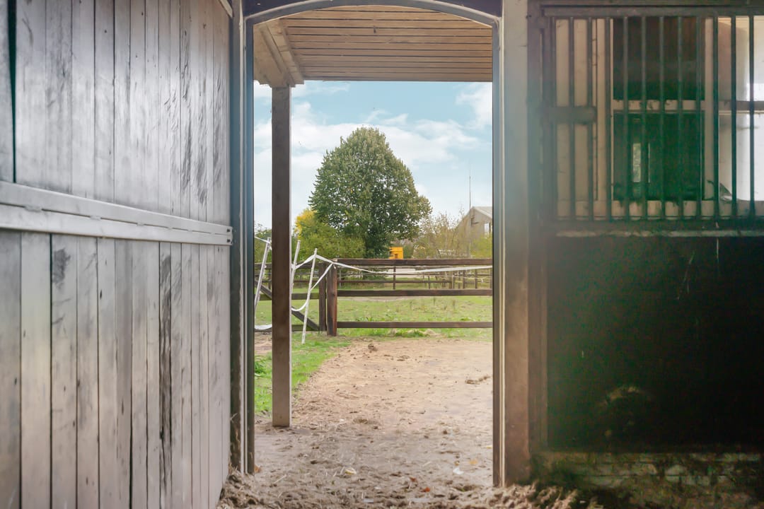 Foto 43 van Koningin Wilhelminaweg 45