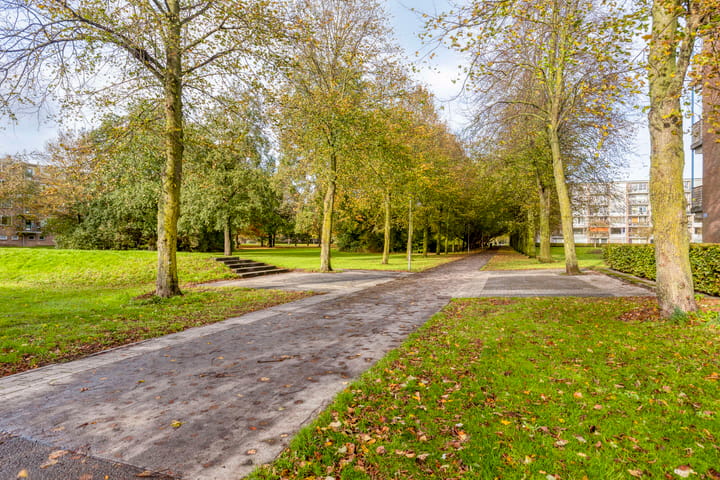 Photo 32 of Porporastraat 98