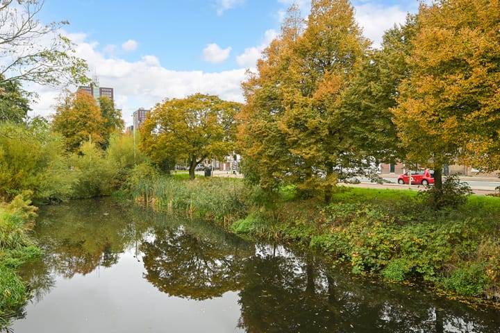 Foto 25 van Johannes Camphuijsstraat 239