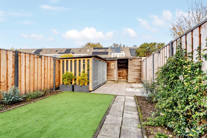 Photo 29 of Mistral 28