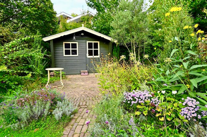 Foto 11 van Bongerdpad 25