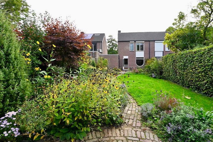 Foto 12 van Bongerdpad 25