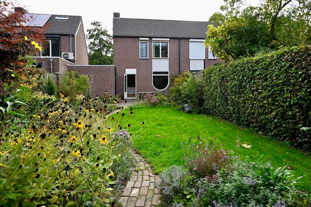 Photo 13 of Bongerdpad 25