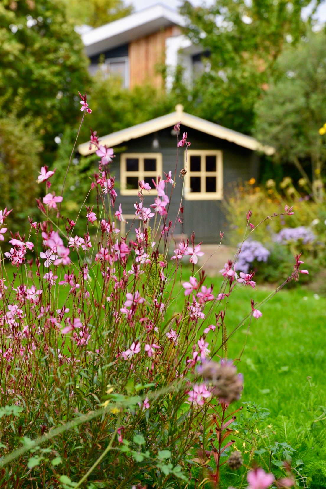 Photo 14 of Bongerdpad 25