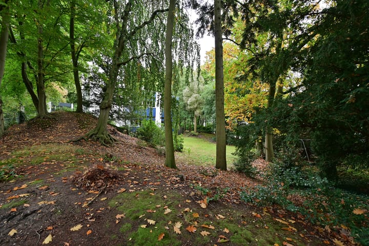 Foto 6 van Bergweg 24