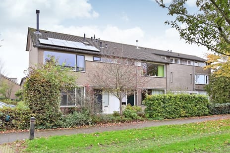 Klaproos thumbnail