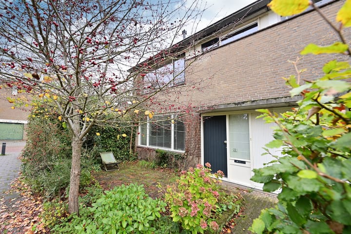 Photo 2 of Klaproos 22