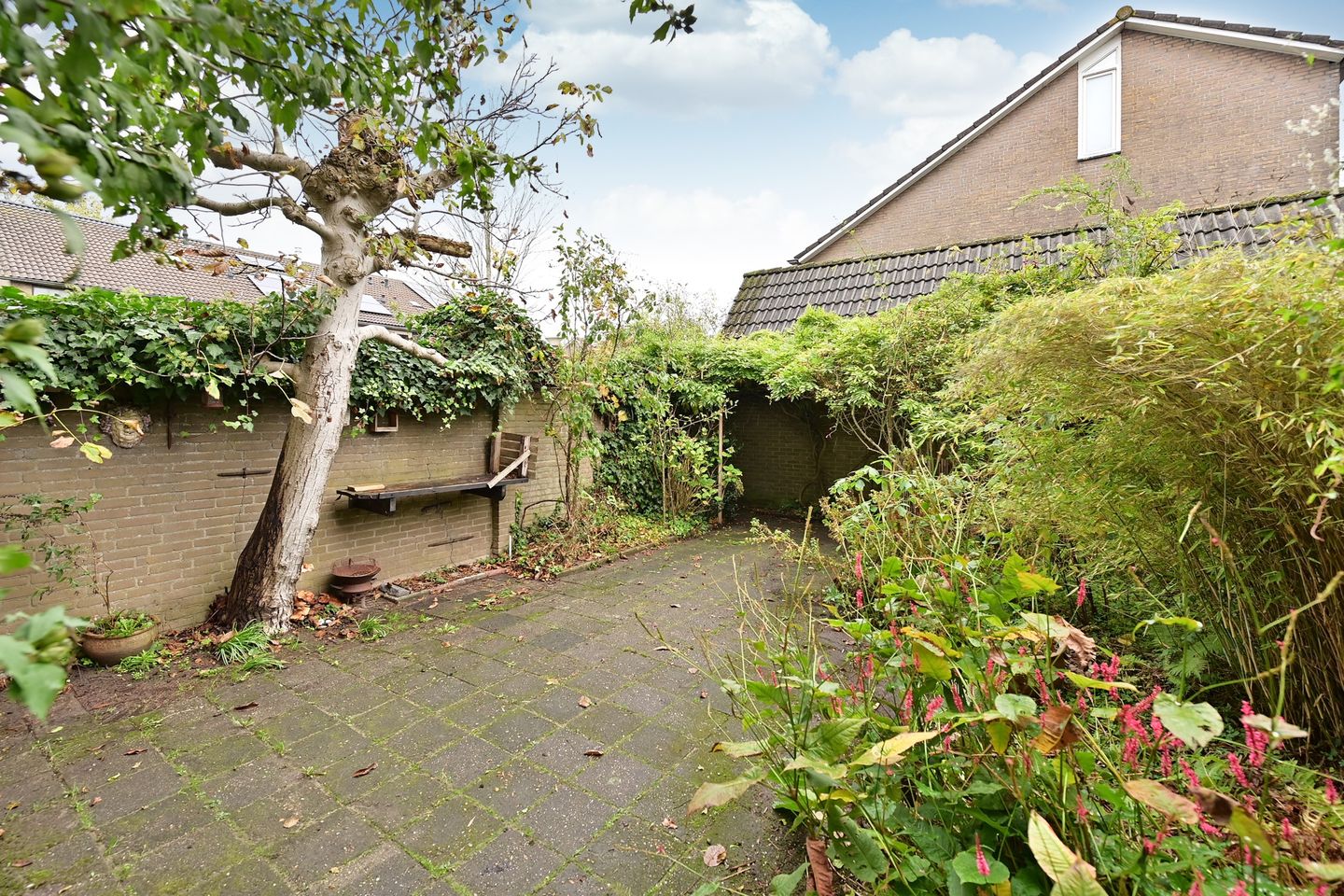 Foto 10 van Klaproos 22