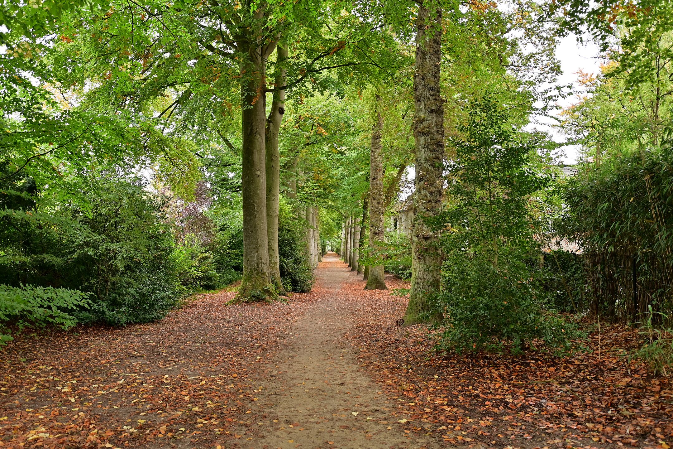 Foto 42 van Bergweg 24