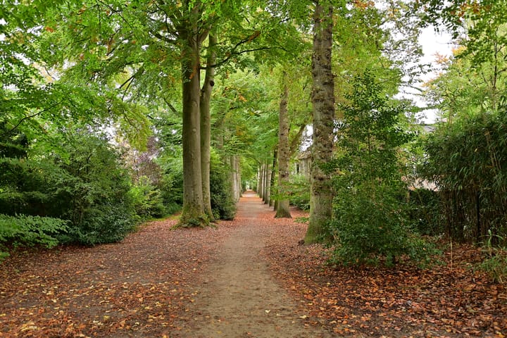 Foto 42 van Bergweg 24